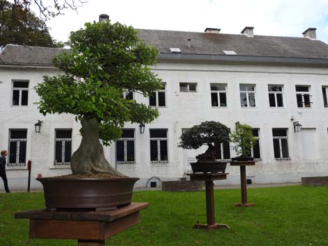 Dscn0130