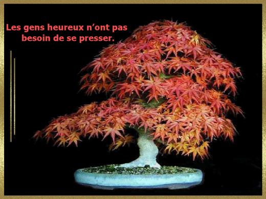 proverbe-1-1.png