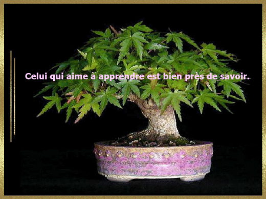 proverbe-3.png