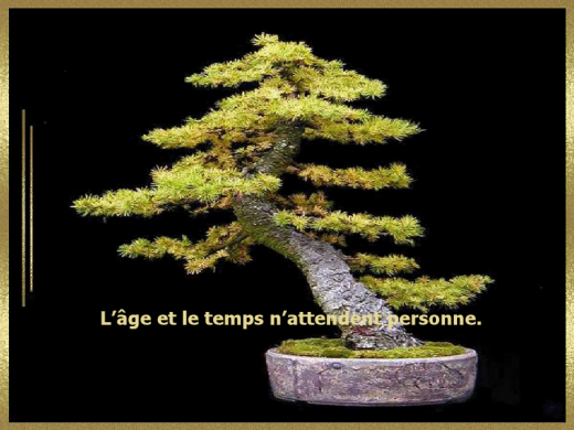 proverbe-4.png