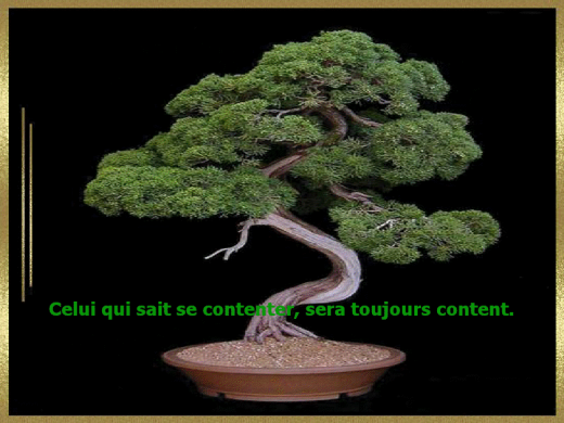 proverbe-6.png