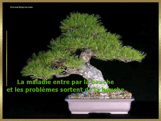 proverbe-8.png