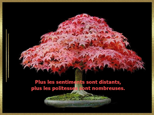 proverbe-9.png